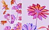 彩虹全息花朵抽象背景素材 holographic-flowers-abstract