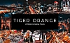 20款黑金火红色调城市夜景LR软件调色预设 20-tiger-orange-lightroom-presets-luts