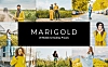 20款富有活力的黄色色调LR软件调色滤镜文件 20-marigold-lightroom-presets-luts