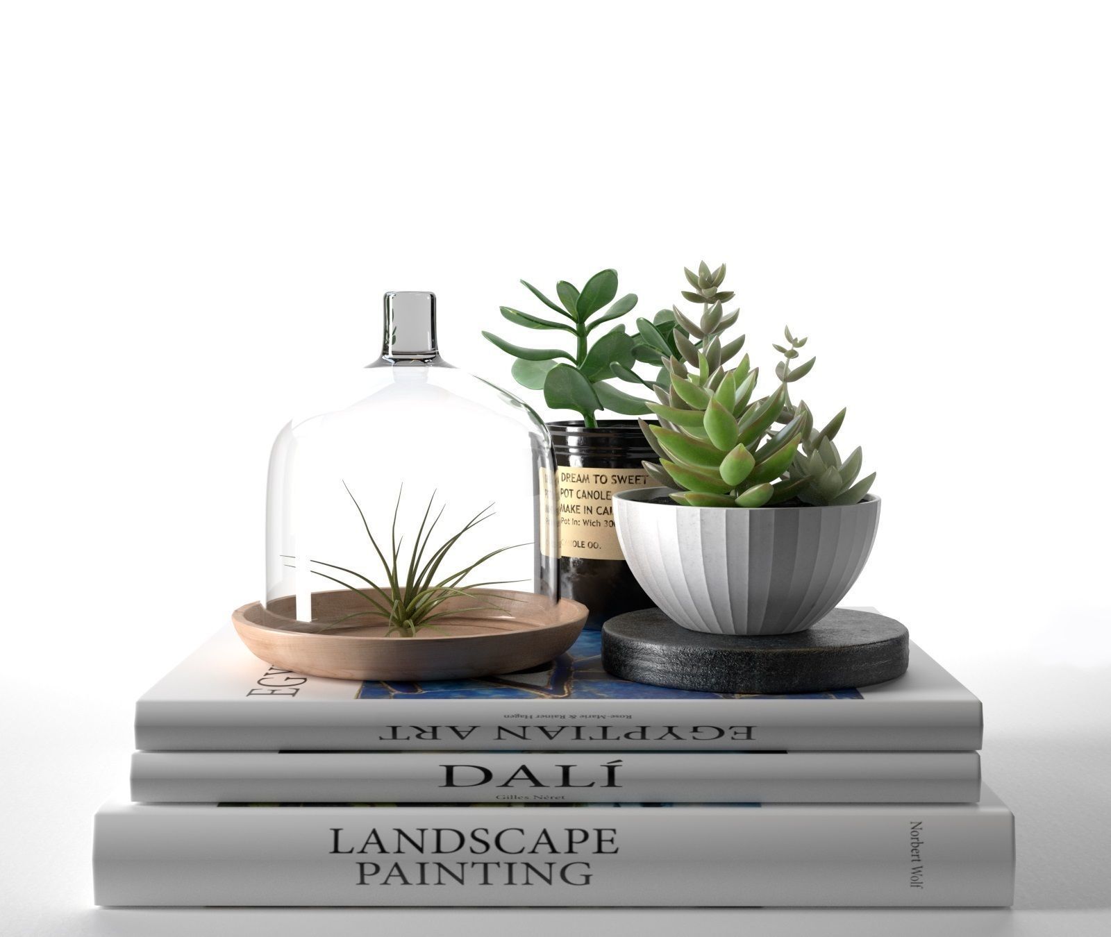 c4d素材模型玻璃制品多肉植物&书 Books-with-Succulents-and-Air-Plant-3D-model