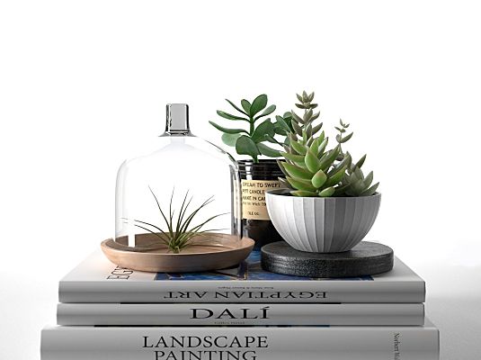 c4d素材模型玻璃制品多肉植物&书 Books-with-Succulents-and-Air-Plant-3D-model