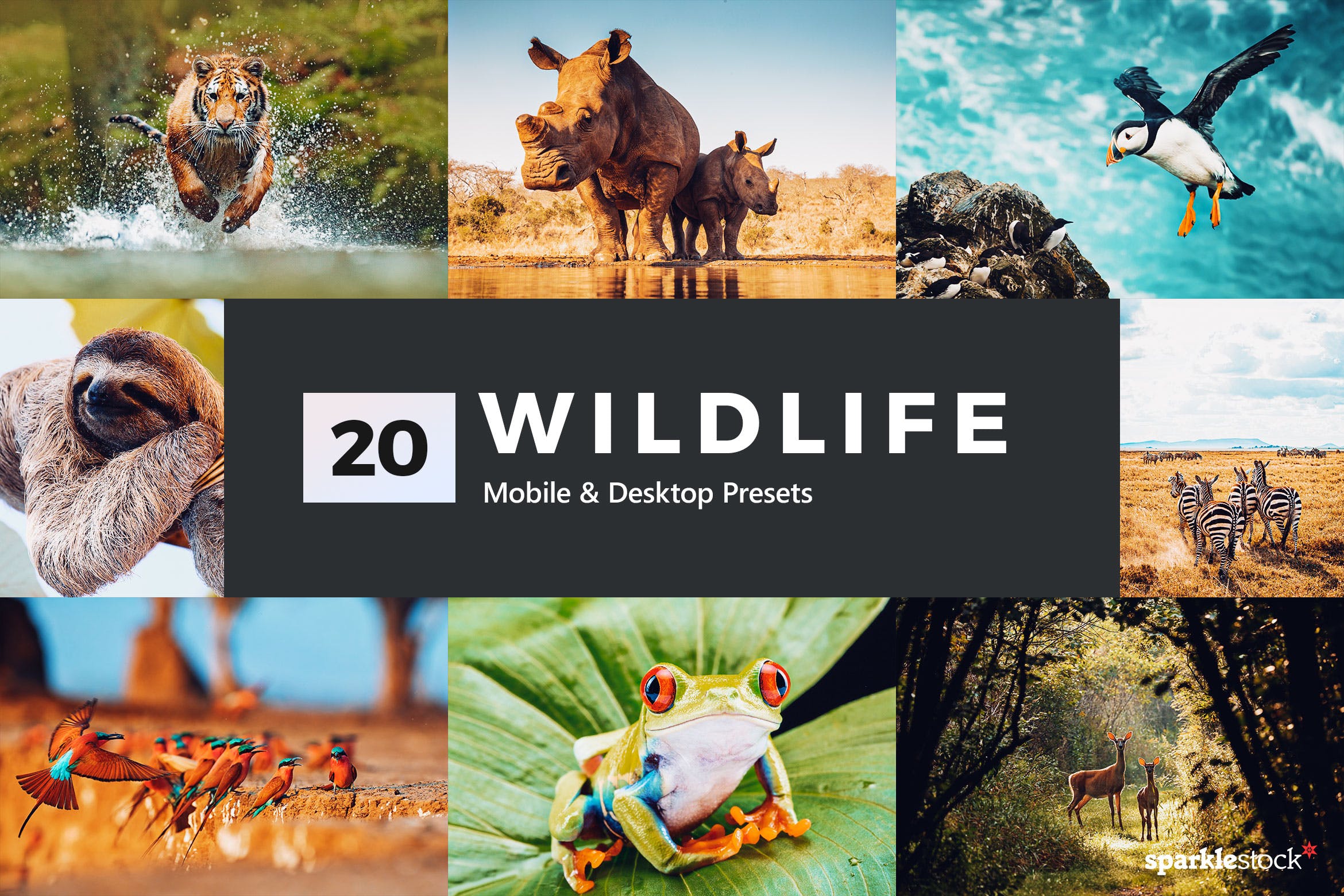20款野生动物摄影主题LR调色滤镜预设 20 Wildlife Lightroom Presets and LUTs-酷社 (KUSHEW)