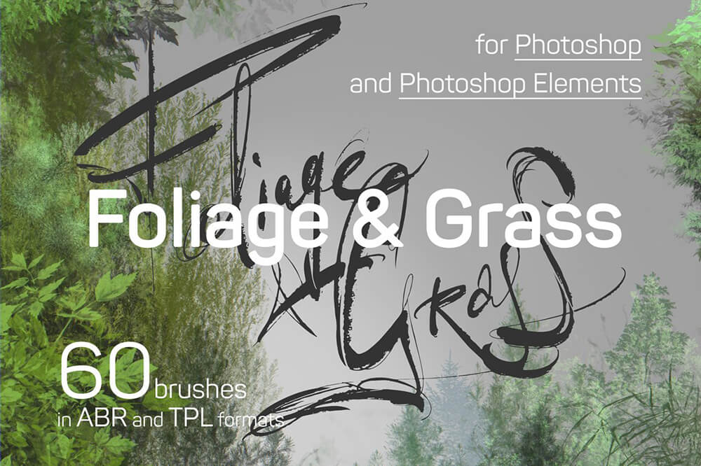 Photoshop植物叶子和草元素ps笔刷 (abr) 60 Photoshop Foliage & Grass brushes