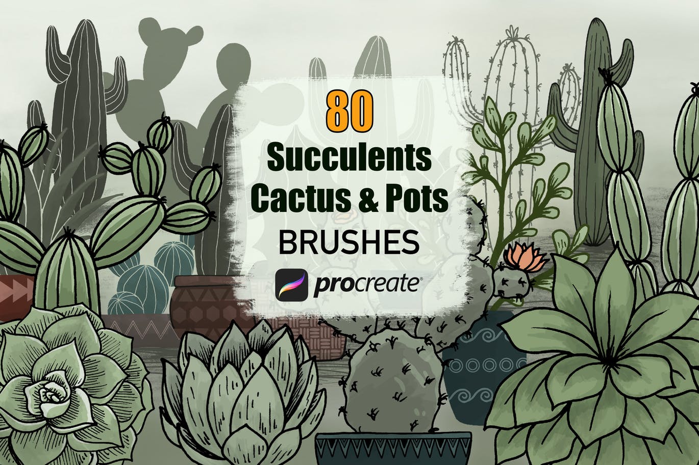 80种仙人掌多肉植物和花盆Procreate软件笔刷cactus-succulents-and-pots-procreate-brushes