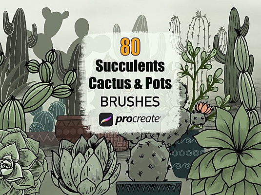80种仙人掌多肉植物和花盆Procreate软件笔刷cactus-succulents-and-pots-procreate-brushes