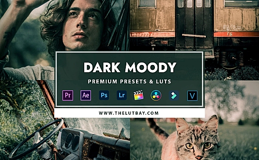 ins暗黑系莫兰迪风光LR预设Vlog视频后期调色LUT预设 TheLutbay Dark-Moody presets