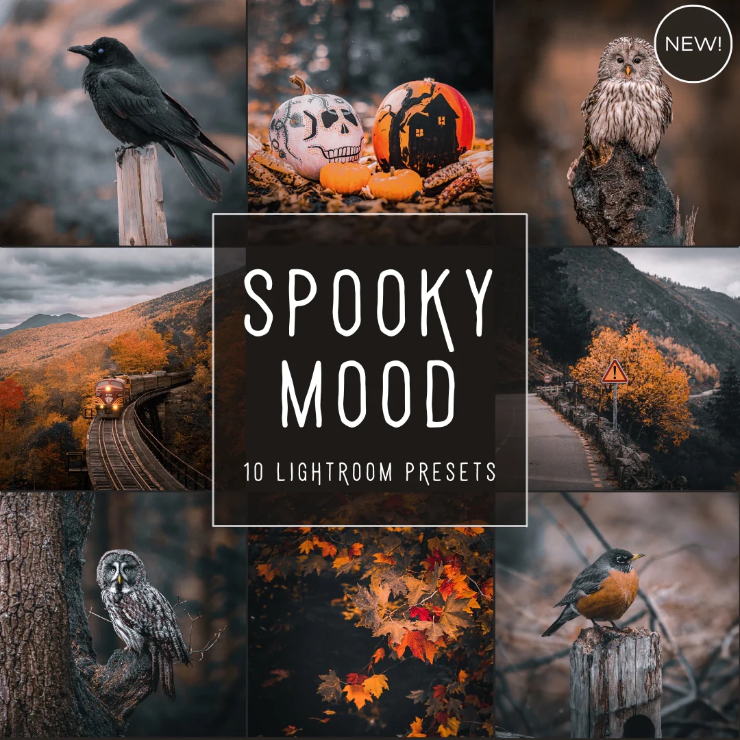 莫兰迪黑橙色电影感风光旅拍LR预设调色滤镜 Spooky Mood LIMITED Lightroom Presets Pack